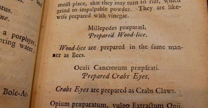 Printed recipe. Reads: Millpiedes prarparati. Prepared wood-lice. Wood-lice are prepared in the same manner as bees.