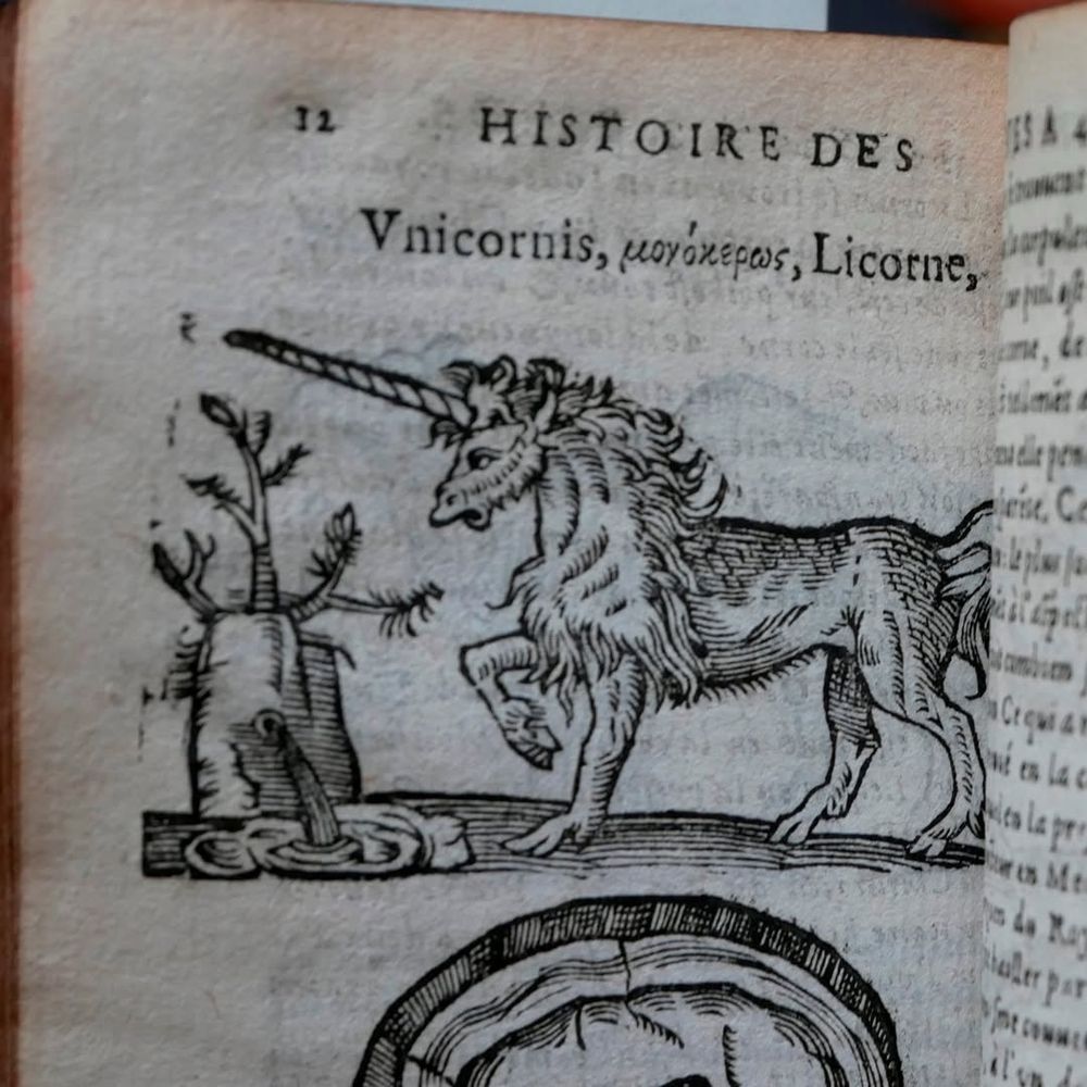 Page of a book with a black and white illustration of a unicorn standing next to a small waterfall.