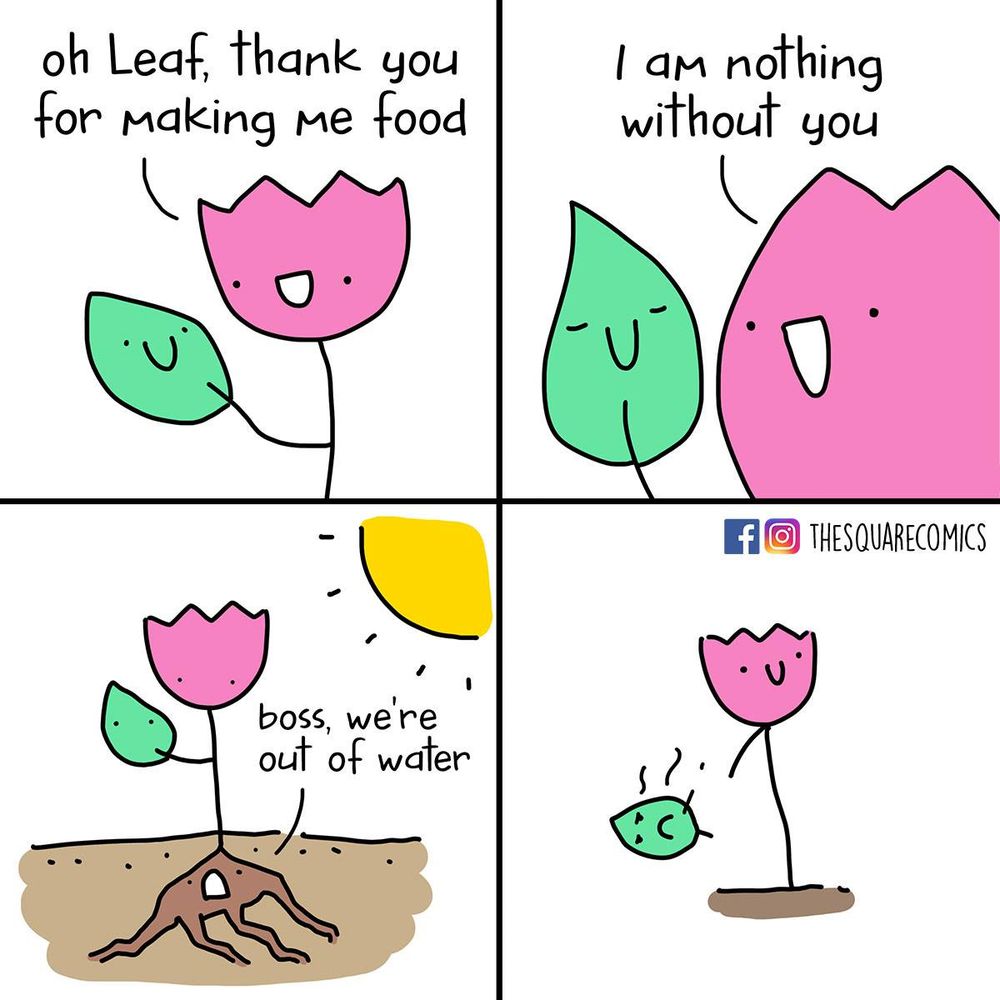 Flower to pleased leaf: Oh leaf, thank you for making me food. I am nothing without you.
Root to flower: Boss, we're out of water.
Flower chucks away sad leaf.