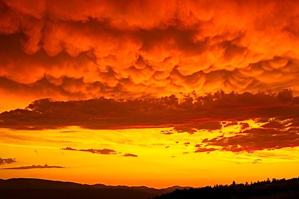 Lumpy mammatus clouds reflect bright orange sunset above an orange strip of cloud-free sky and the silhouette of the hills below. 