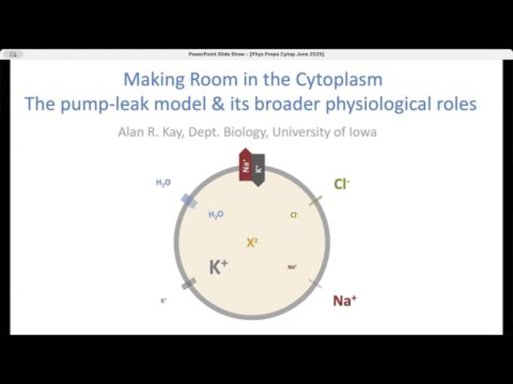 Physical Properties of the Cytoplasm Seminar Series #18 | Alan Kay