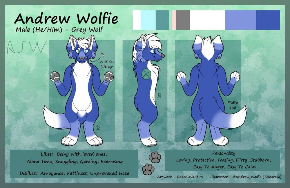 Andrew Wolfie’s main ref as of 2025. A mostly cobalt and ice blue wolf with white detailing along his torso, paws, ears, hair, and tail.
