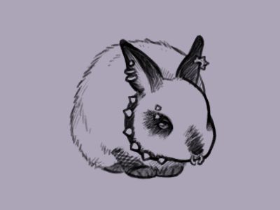 a sketch of a mostly white, realistic-styled rabbit with black patches on its paws, ears, nose, and eyes. it has several piercings on its ears, nose, and brow, and is wearing a spiked collar and tiny fishnet sleeves