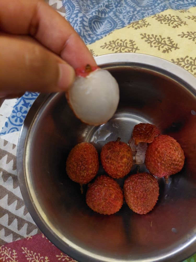 Steel bowl with litchi that my sweet friend hosting me in delhi specially brought for me because I hadn't had them in YEARS