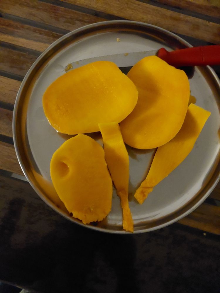 Steel plate with mangoes