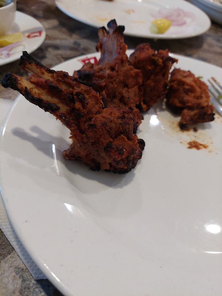 Delicious burra kabab at karim's after my visa appointment