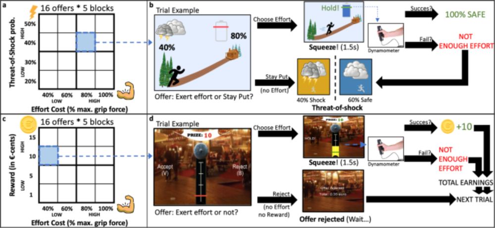 Acute stress promotes effort mobilization for safety-related goals - Communications Psychology