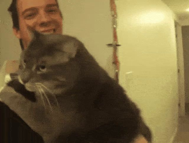 a man is holding a gray cat in his arms and smiling