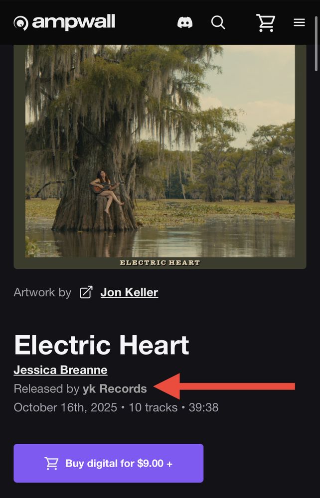The Ampwall page for the album Electric Heart by Jessica Breanne, released by yk Records