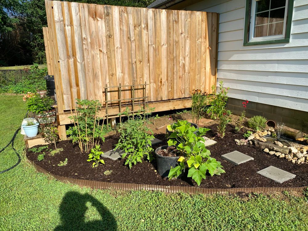 Another picture of the larger pie slice area to the left. You can see my herbs and tomato plants in the middle is my squash in the back corner. There’s a new line of bean seeds and the farthest corner. There’s some beautiful wildflowers and shrubs and to the right is my wildlife pond surrounded by rocks and you can see the fountain going