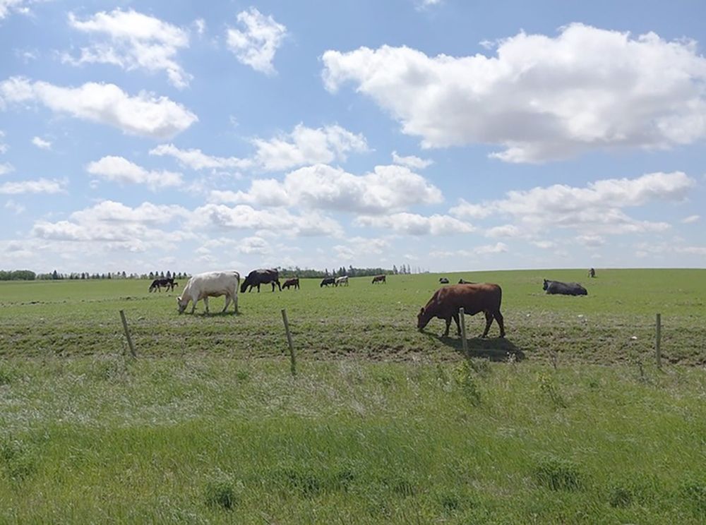 SpaceX Dropped Space Junk on My Neighbor’s Farm. Here’s What Happened Next