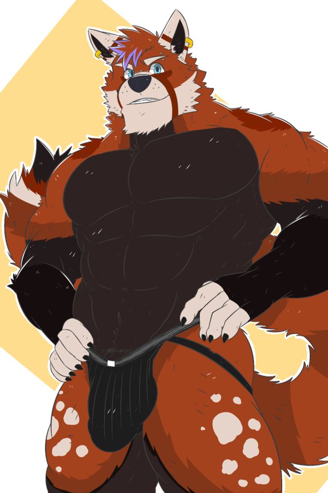 Muscular Bara style furry male. Wolf and Red Panda mix in a black jockstrap. Facial features are mostly wolf with a Red Panda tail and fur color. Red Panda style fur markings such as dots and stripes, light blue eyes, one gold ring earring in each ear, and a silver eyebrow piercing with spheres on the tips. He is standing upright with his legs at shoulder width, hands on hips and looking forward smiling. He is standing against a white and yellow background.