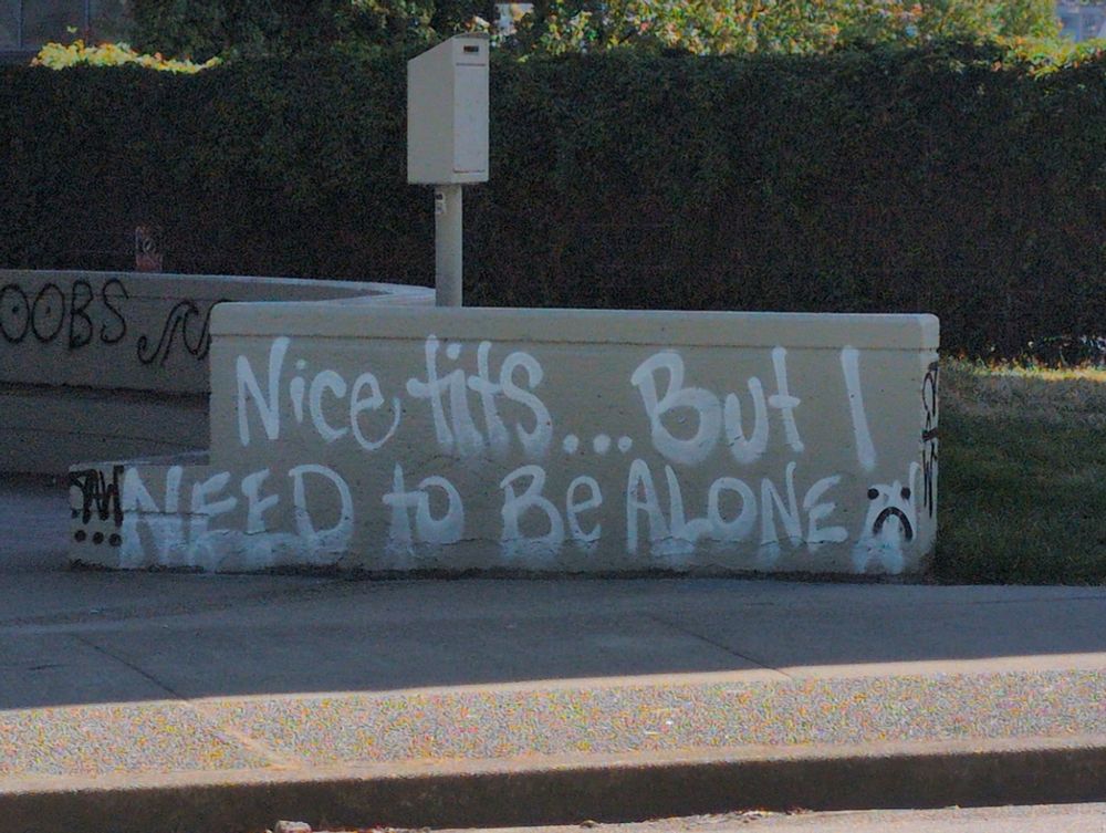 a concrete barrier with white graffiti reading "nice tits... but i need to be alone." there's a sad face at the end.