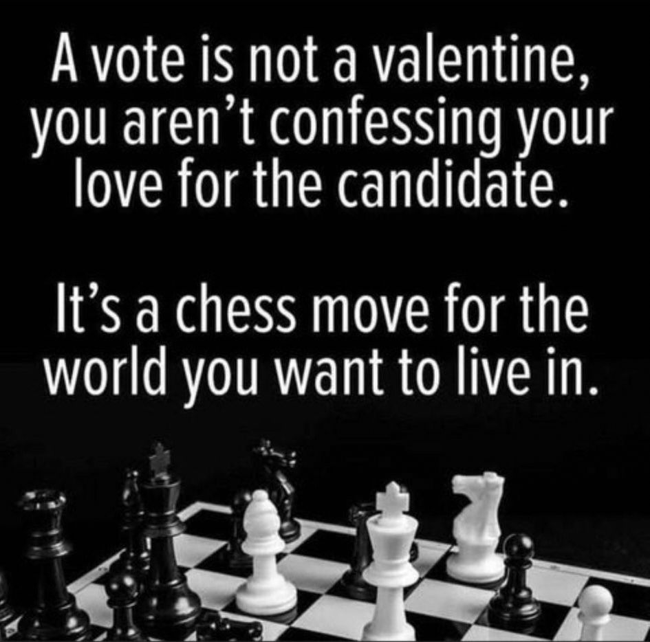 A vote is not a valentine, you aren’t confessing your love for the candidate.

It’s a chess move for the world you want to live in. 

Picture shows a chess board.