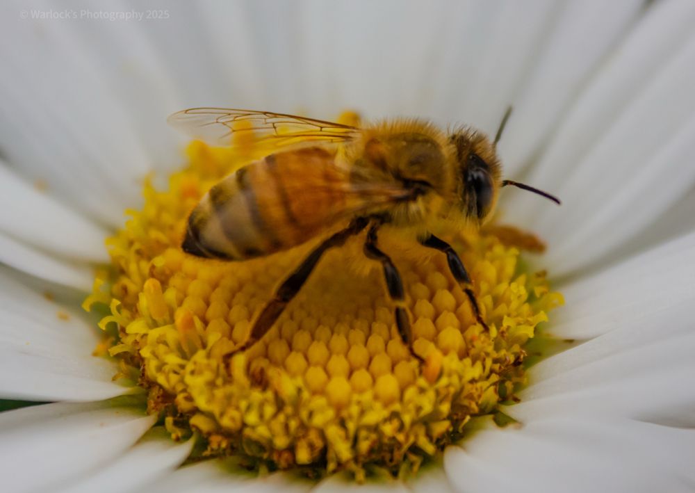 ISO400 49mm 0ev f/5.6 1/640s