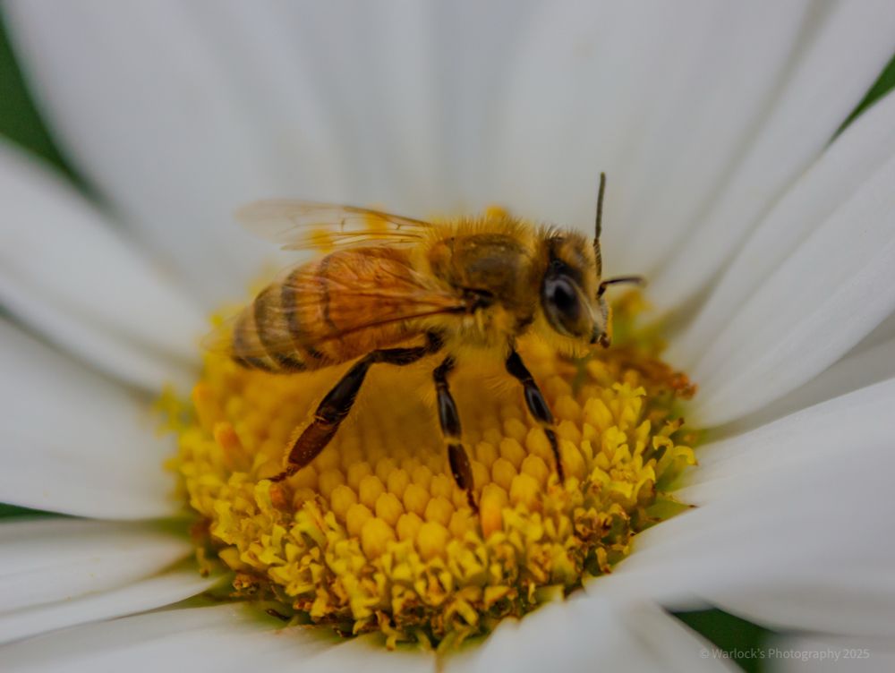 ISO320 49mm 0ev f/5.6 1/640s