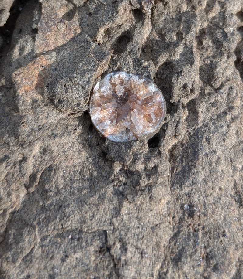 close up of a geode embedded into (volcanic?) rock at Bass point