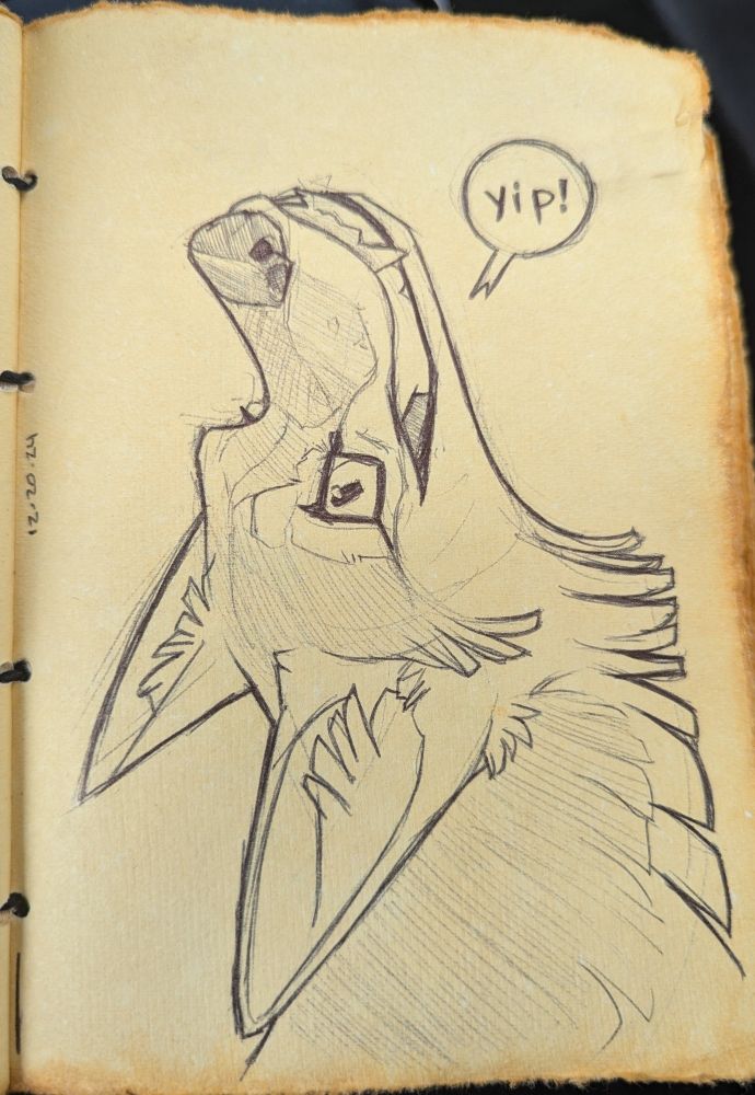 Ballpoint pen illustration of a coyote with its head thrown back with a grin