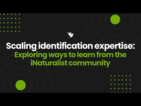 Scaling identification expertise: Exploring ways to learn from the iNaturalist community