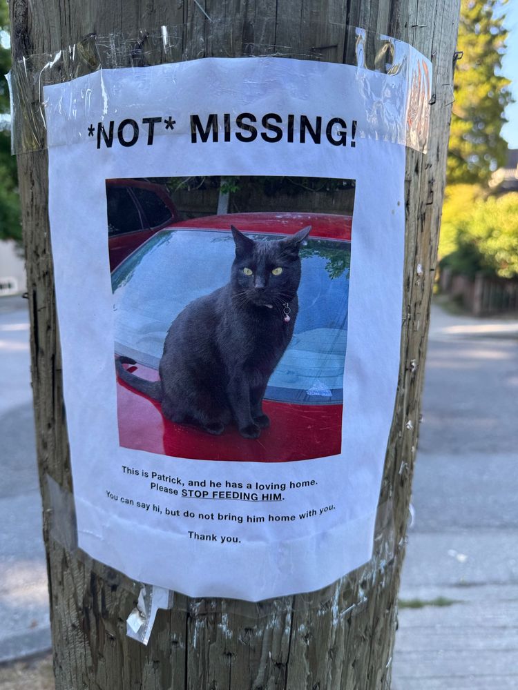 A poster on a telephone pole reading “NOT missing” and a picture of a cat. Sign asks people to stop bringing him home and feeding him.