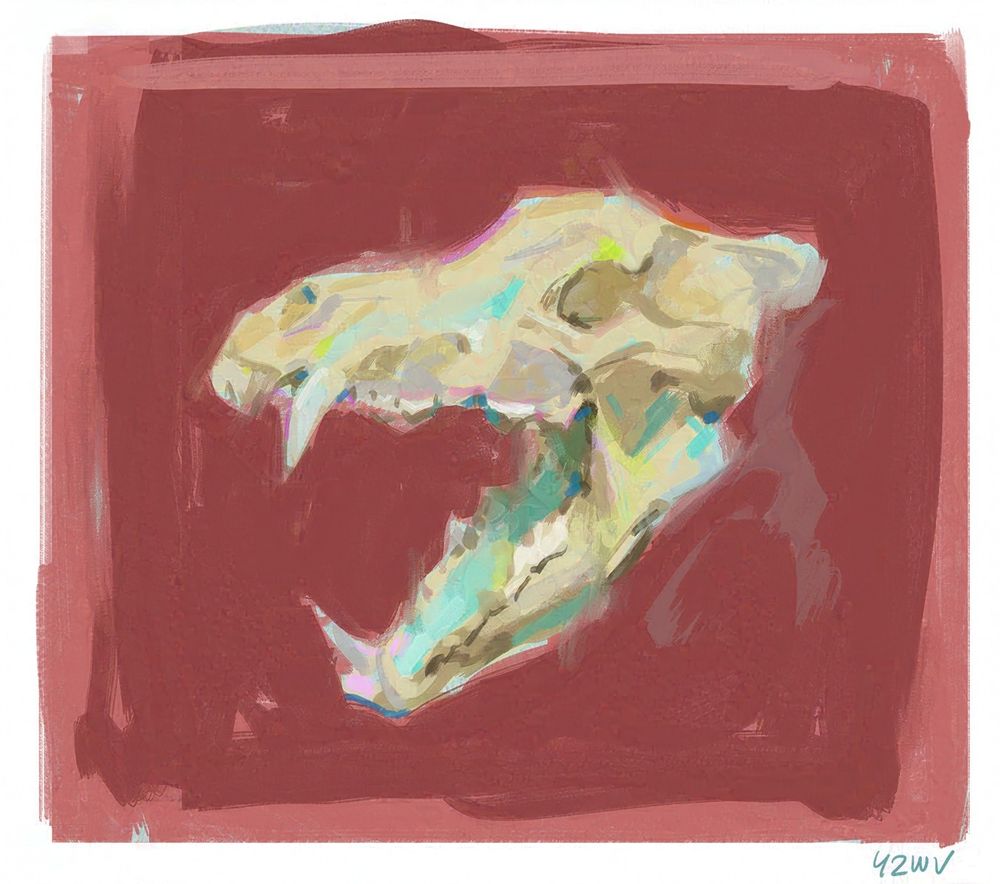 Digital painting of a wolf skull