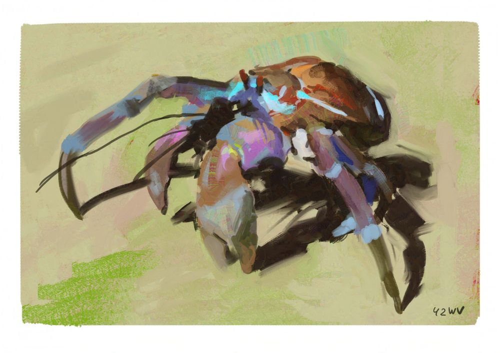 Painting of a coconut crab.