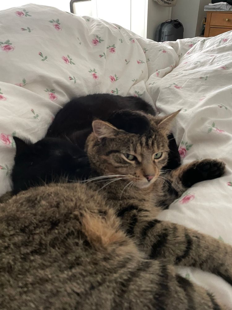 a single mum who works two jobs