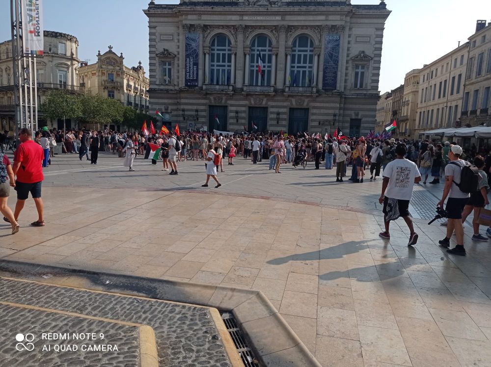 Photo du rassemblement pour la Flottille pour Gaza à Montpellier