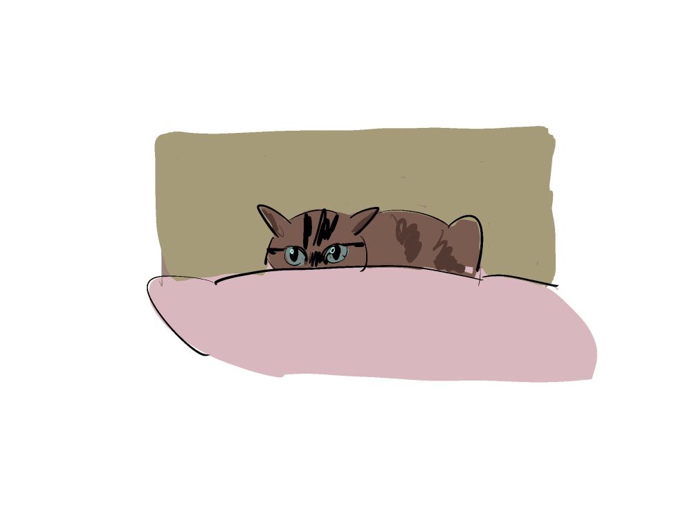 brown tabby cat peeps over the pink pillow.
