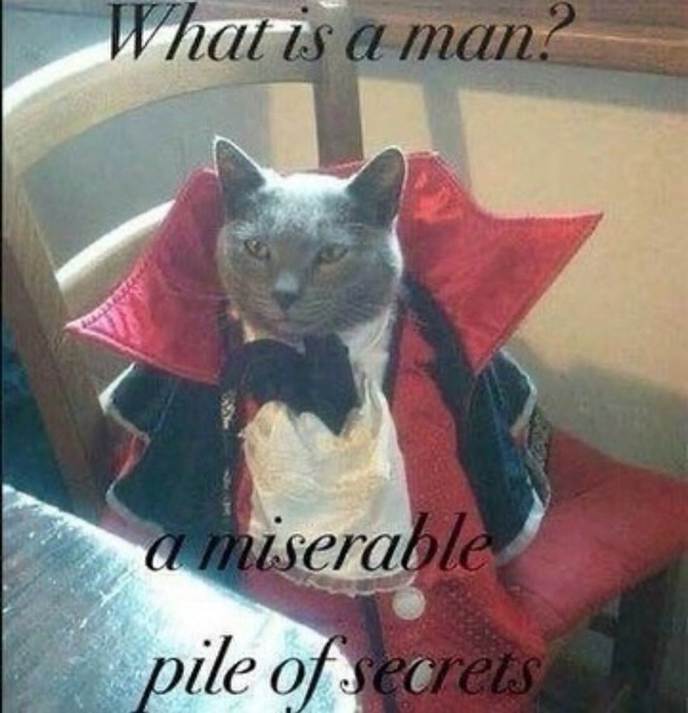Cat standing in for dracula's famous quote in symphony if the night. "What is a man but a miserable little pile of secrets" Positively swag dracula dripped out and sitting a chair