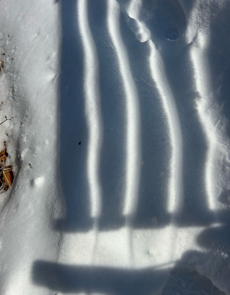 Lines of shadows in snow