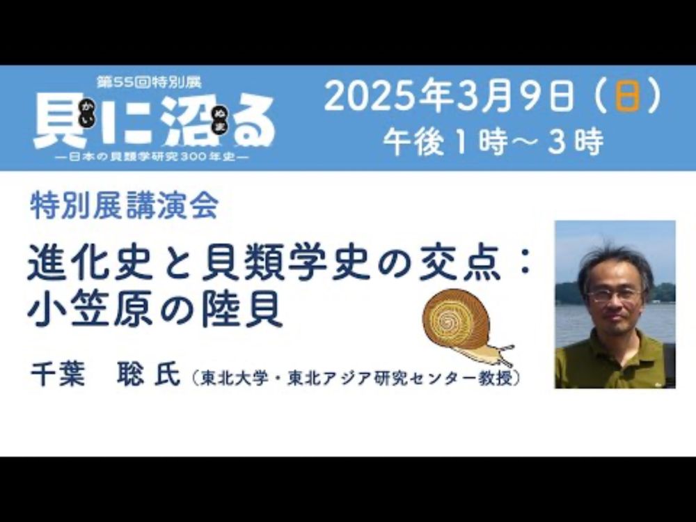 特別展「貝に沼る」講演会①「進化史と貝類学史の交点：小笠原の陸貝」