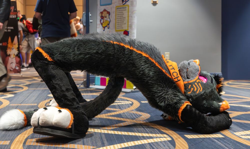 Glitch in fullsuit, laying on the ground face up and arching his back so that his body forms a bridge. He is about two feet off the ground at most, balancing all his weight between his arms and legs. His tail is centered directly beneath him, curling towards the tip resting by his feet. 