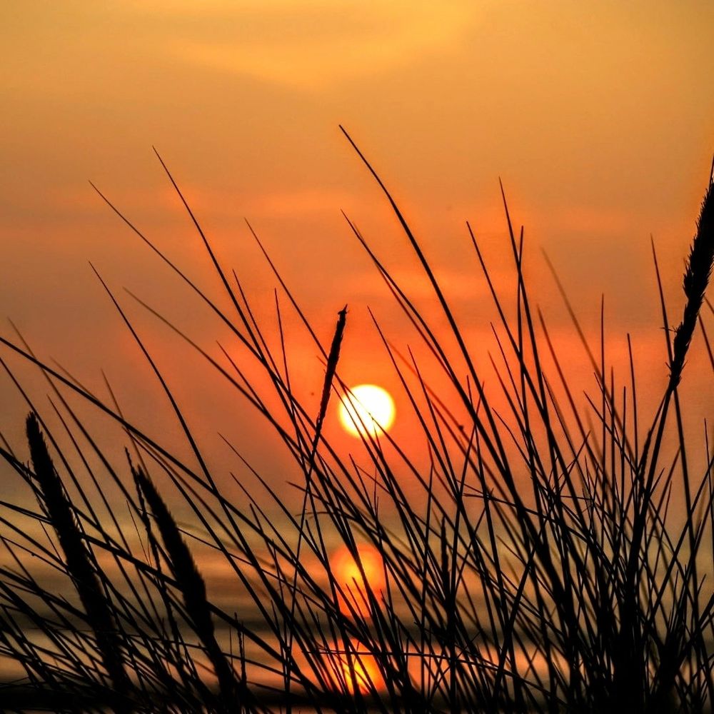 A vibrant sunset over rolling hills, with the sky painted in hues of orange, pink, and purple.