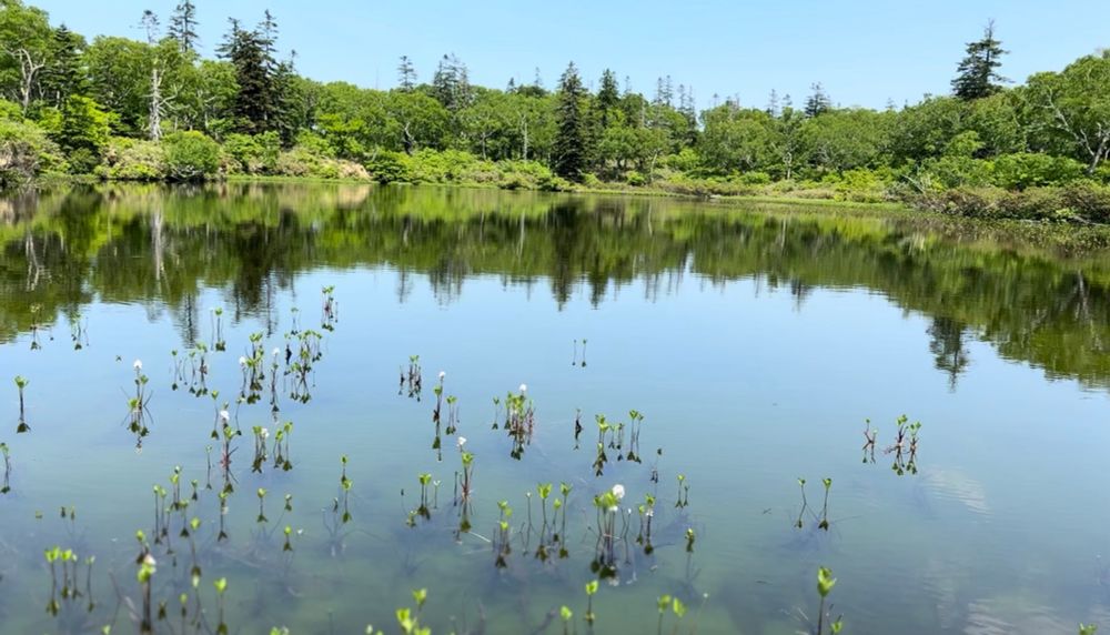 Shinsen'numa marsh