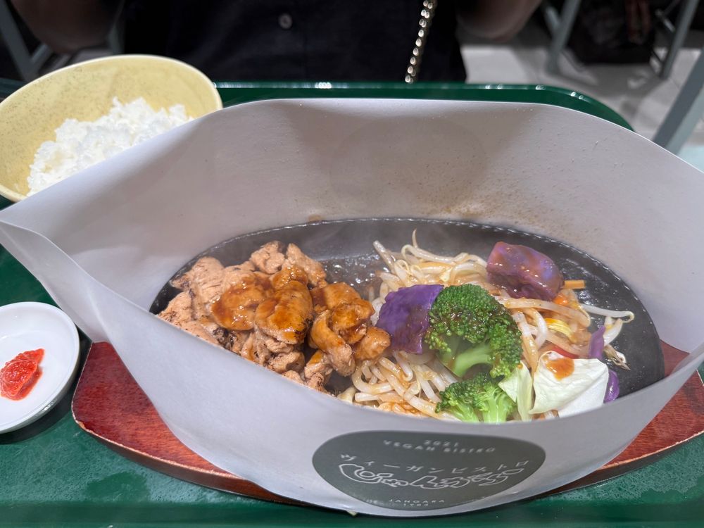 soy meat sizzler 