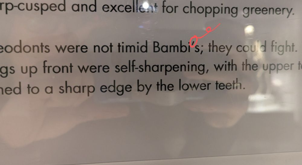 Photo of a sign, edited to add a copy editing mark to remove an apostrophe in Bambis (intended as plural, the animals were not timid Bambis.)