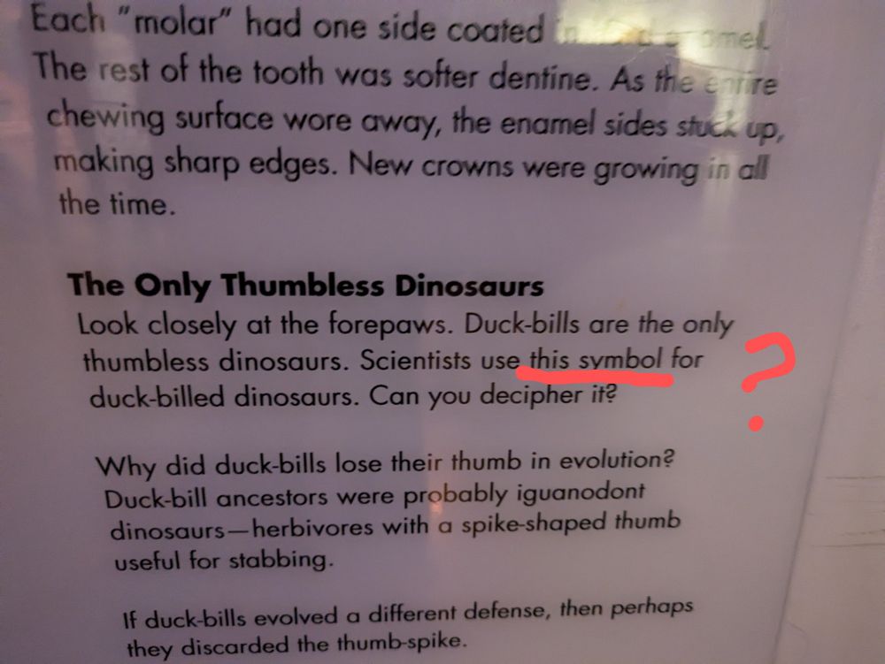 Photo of sign. Relevant paragraph is titled "The only thumbless dinosaurs" and reads "Look closely at the forepaws. Duck-bills are the only thumbless dinosaurs. Scientists use this symbol for duck-billed dinosaurs. Can you  decipher it?" Photo is edited to underline "this symbol" and draw a question mark in the margins; there is no symbol. 