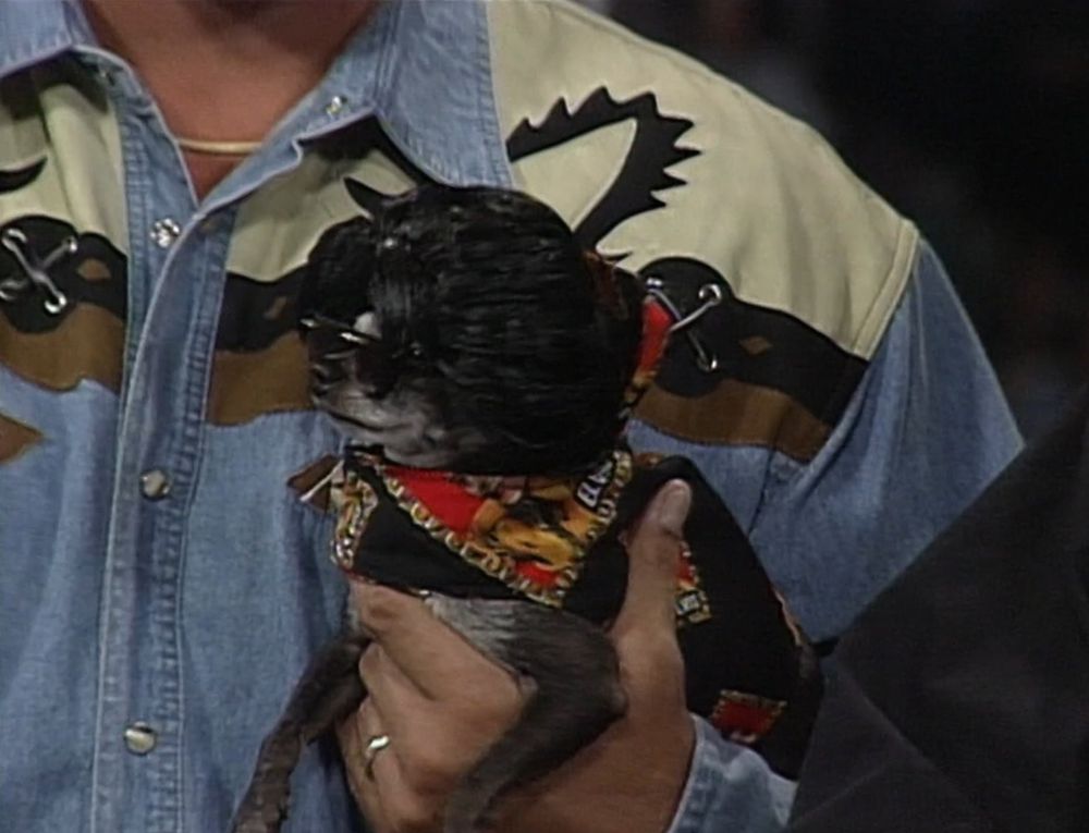 a close-up of mongo holding pepe who has a black patterned outfit on, vibrant black sunglasses, and a truly absurd black haired wig that looks like someone emptied an entire can of hairspray on it