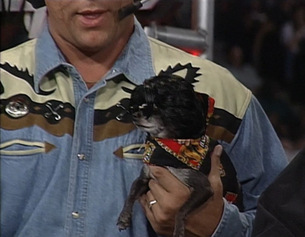 a close-up of mongo holding pepe who has a black patterned outfit on, vibrant black sunglasses, and a truly absurd black haired wig that looks like someone emptied an entire can of hairspray on it
