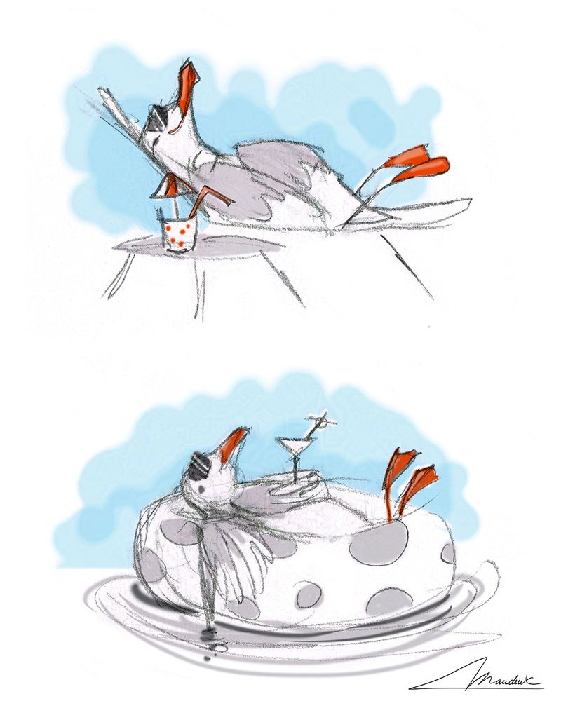 Sketches of mediterranean gull characters. They are enjoying the sun with sunglasses and cocktail. The idea is to illustrate its wintering grounds—far from the cold of Northern Europe ❄️.
So the bird is shown in its non-breeding plumage (yes, the black head is just for summer!)