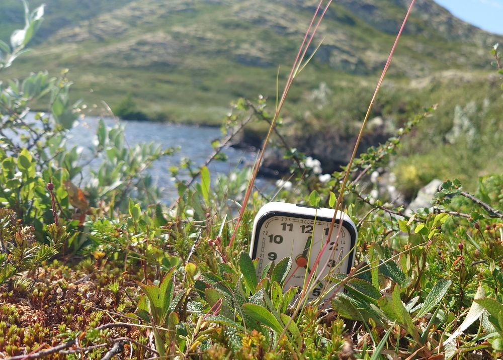 Ei sånn åttitalls firkanta vekkerklokke i lyngen ved et fjellvann i sola