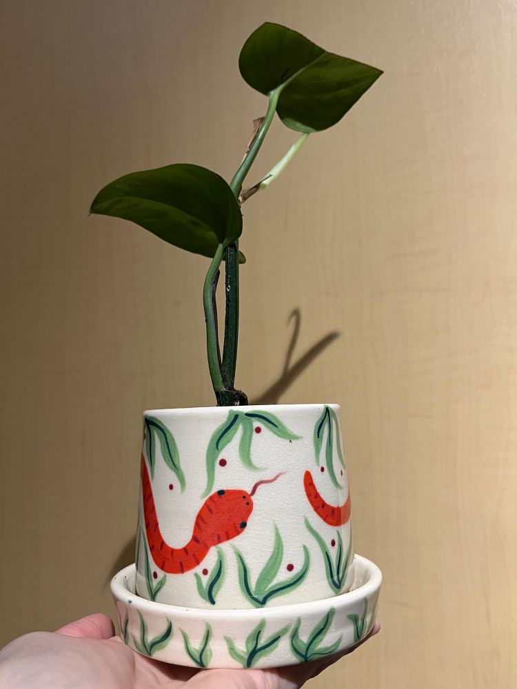 Pothos plant in a ceramic pot painted with a snake wrapping around a background of flowy leaves