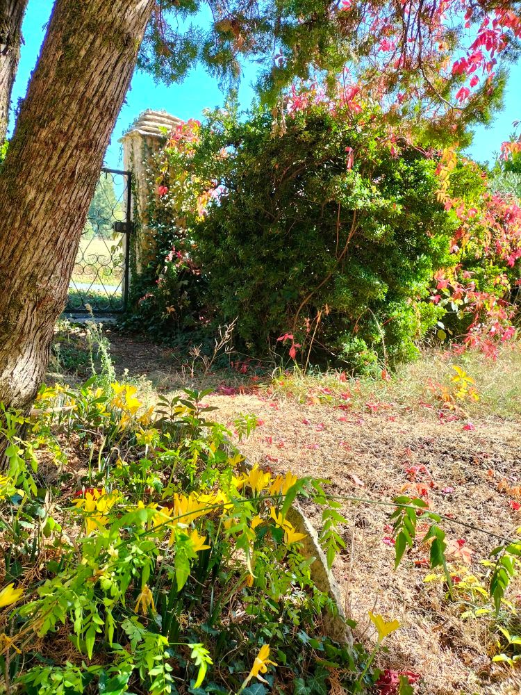 Bonne soirée et pensée pour tous ceux qui tombent sous la folie guerrière 
Photo jardin dans le Périgord