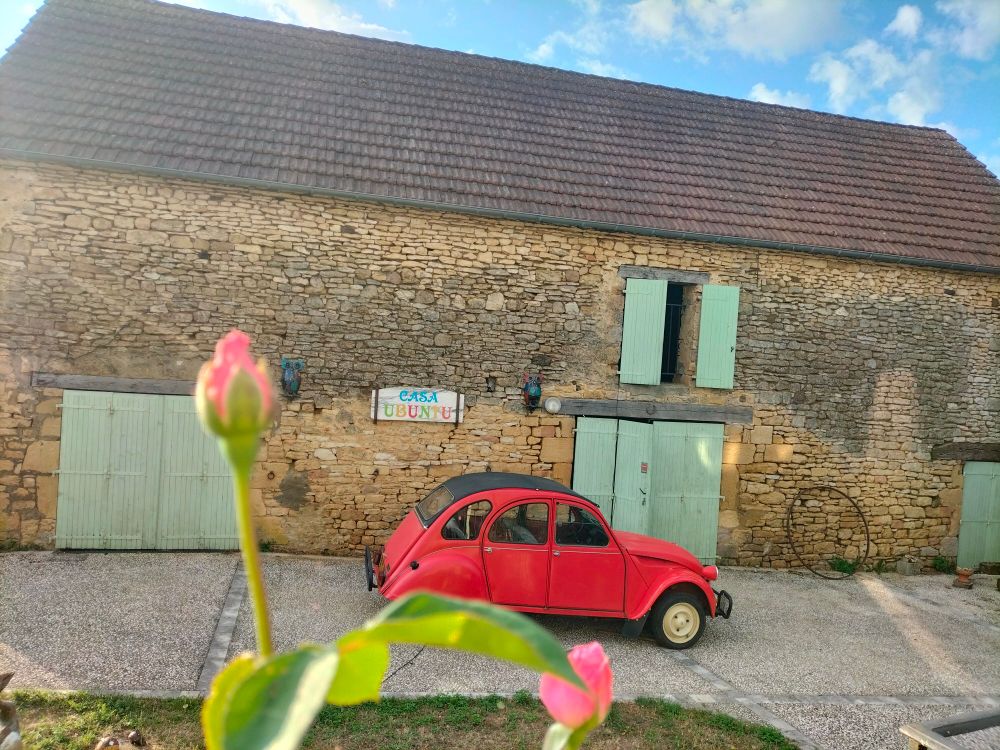 Bouton de roses au premier plan,2cv rouge 