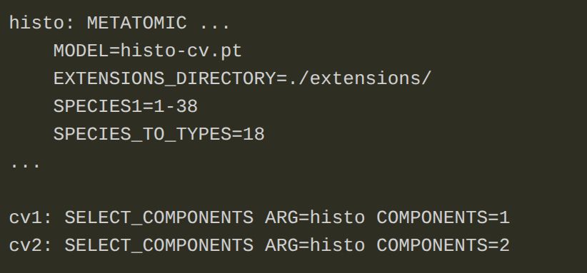 code snippet for a PLUMED input reading
```
histo: METATOMIC ...
    MODEL=histo-cv.pt
    EXTENSIONS_DIRECTORY=./extensions/
    SPECIES1=1-38
    SPECIES_TO_TYPES=18
...

cv1: SELECT_COMPONENTS ARG=histo COMPONENTS=1
cv2: SELECT_COMPONENTS ARG=histo COMPONENTS=2
```