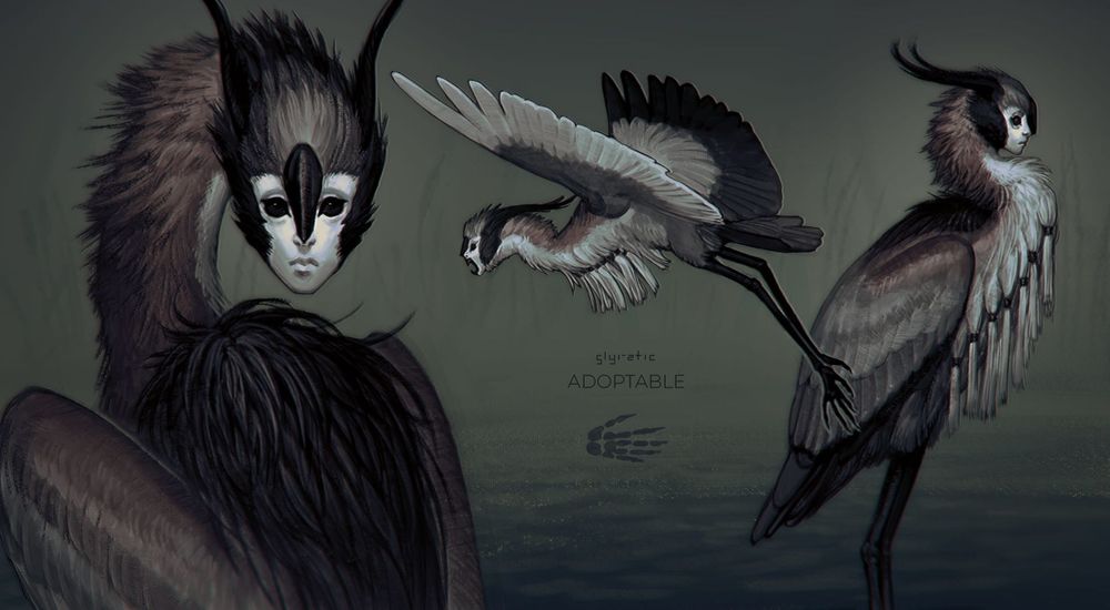 Design of a harpy with a hunanoid face and body structure close to a heron.