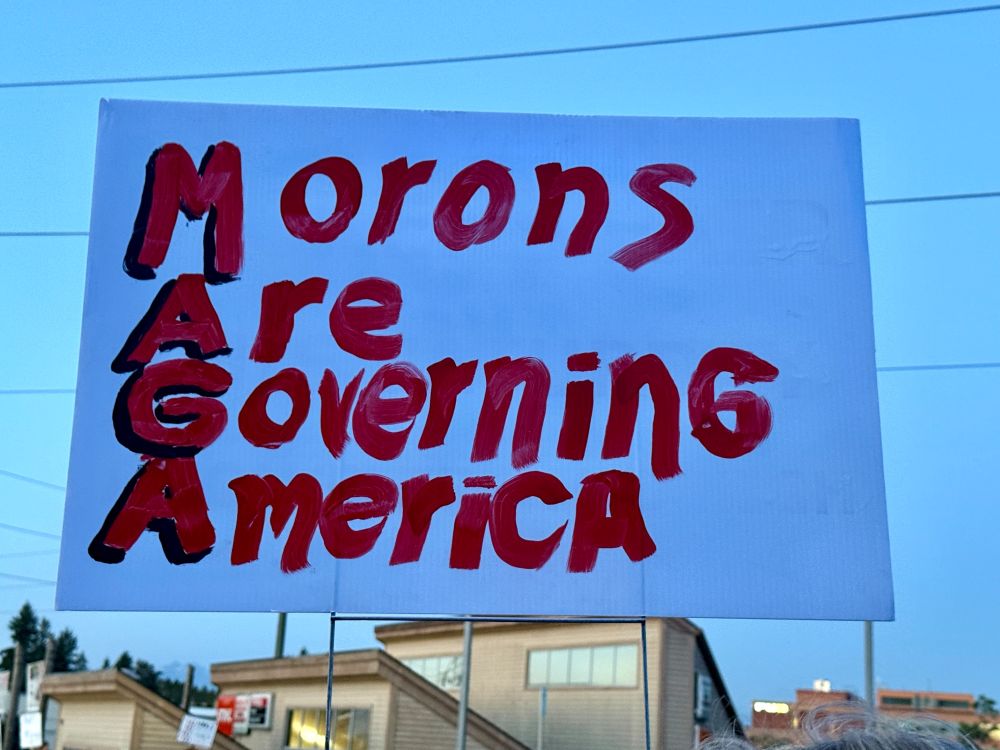 A protest sign with red and black painted letters on a white background spells out "Morons Are Governing America," arranged so the first letters of each word spell "MAGA" vertically in bold red letters. The sign appears outdoors at dusk with a residential building and telephone wires visible in the background.