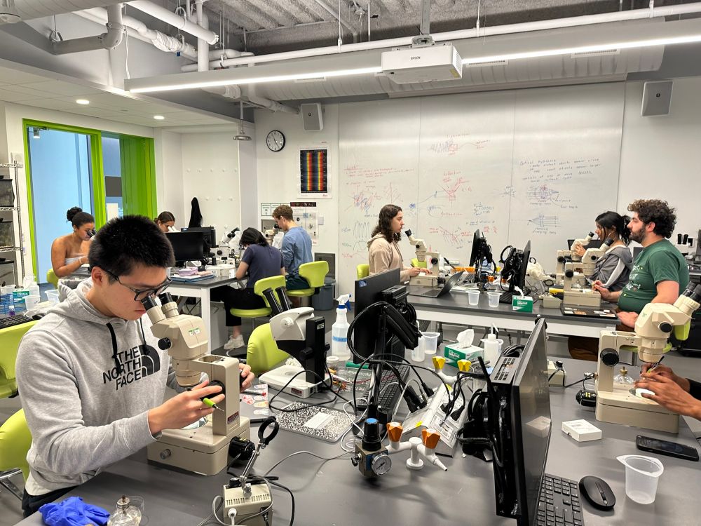 Students at the bench learning to pick C. elegans from agar plates.