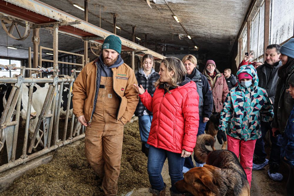 Chrystia Freeland en visite dans une ferme à Waterville, Québec.